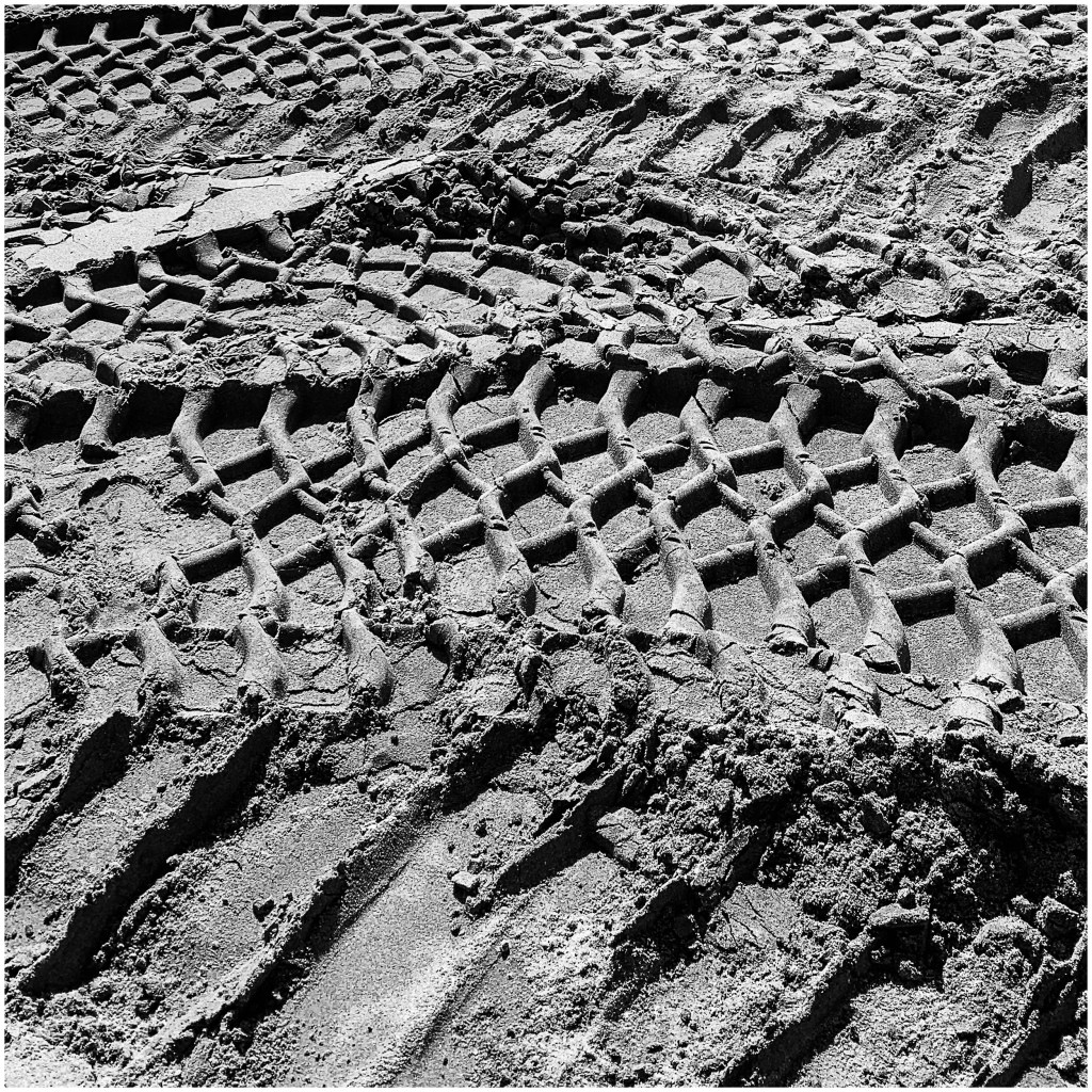 Monochrome Mondays: Tracks