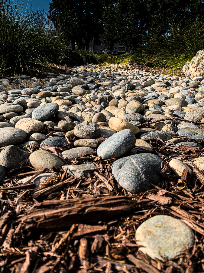 Lens-Artists - Perspective-8484