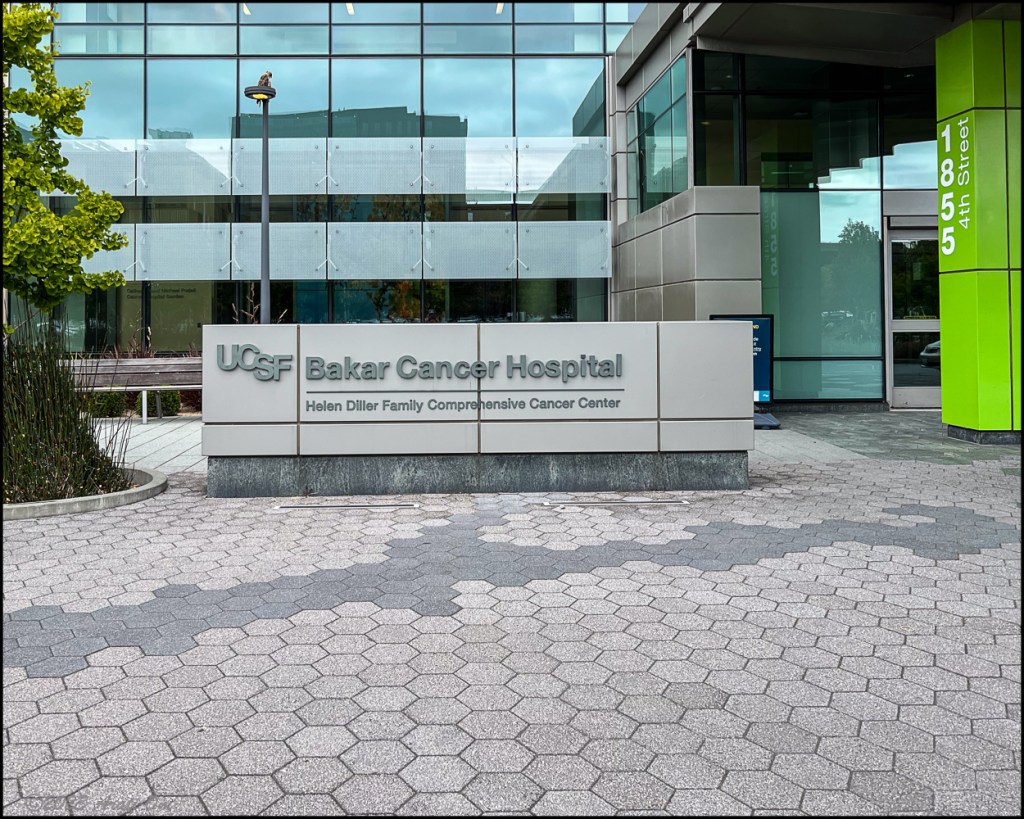 2023 – A twist in the journey towards&nbsp;self