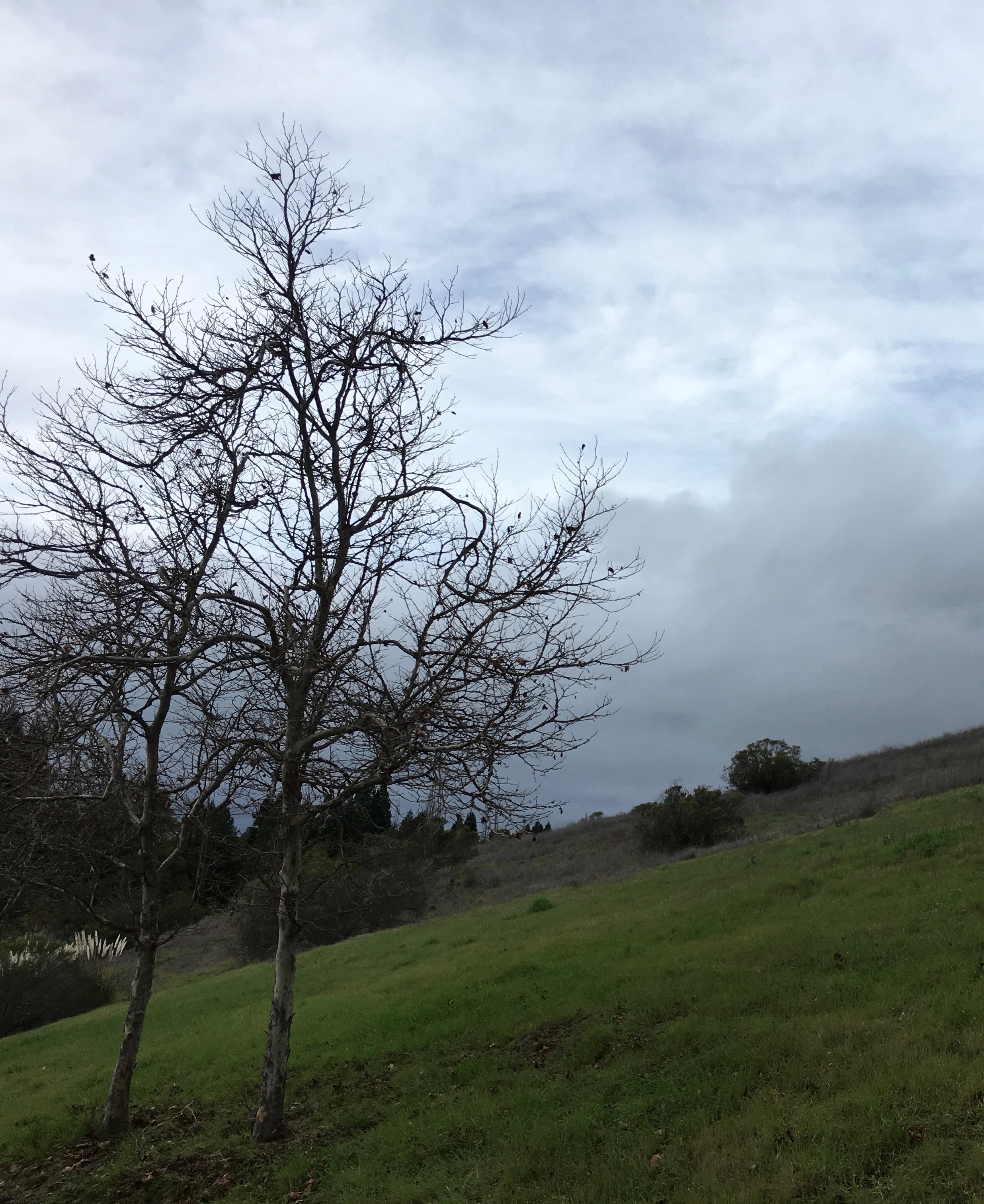 anticipating-the-storm_2503