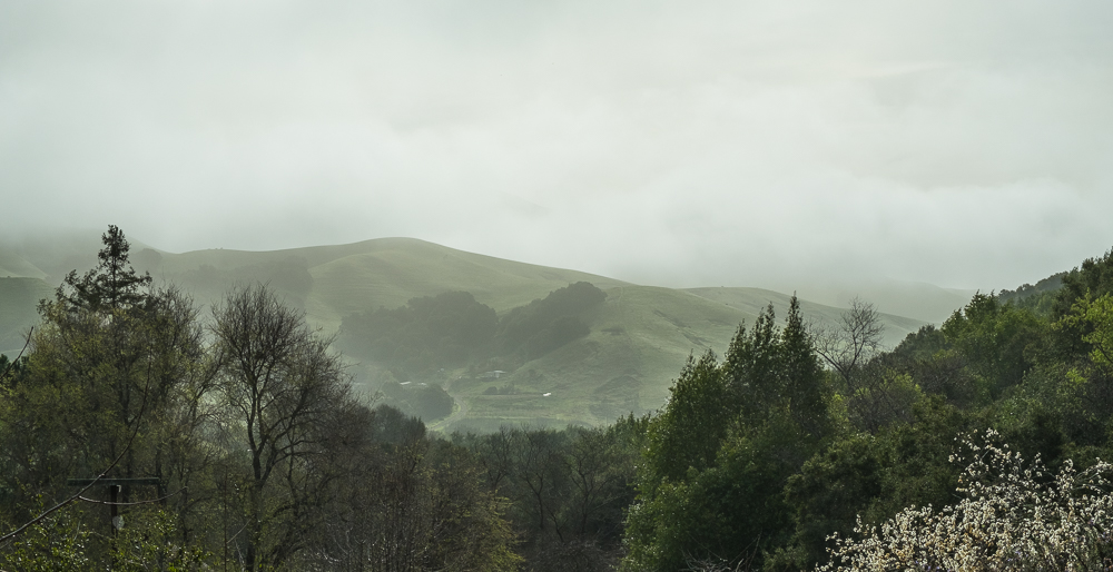 Fog Lifting MAC-0696-2