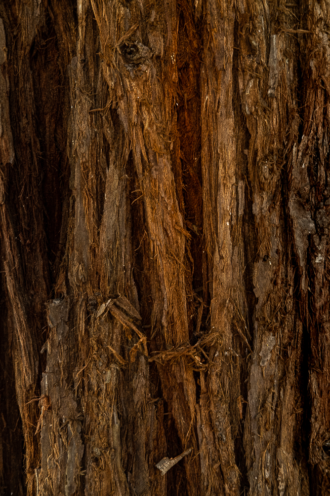 Lens-Artists Home-0472