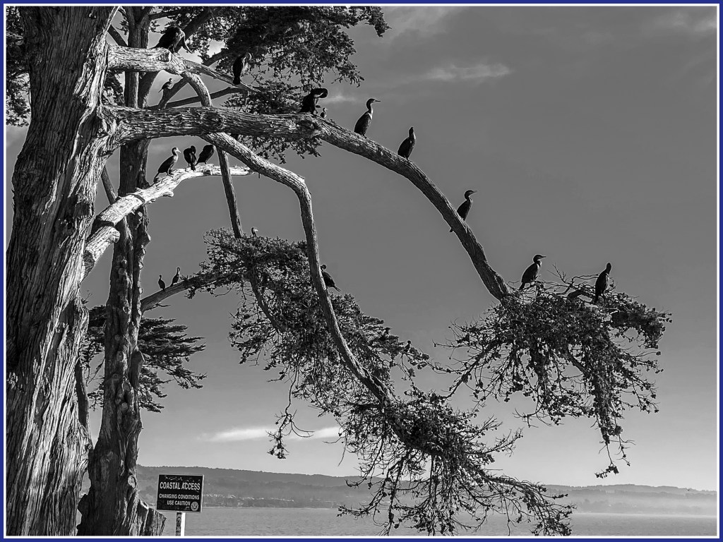 Gooooood morning Monterey&nbsp;Bay