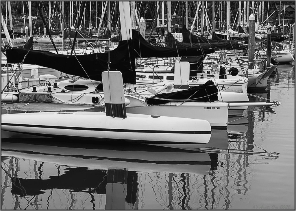 Monochrome Mondays: Wrapped&nbsp;up