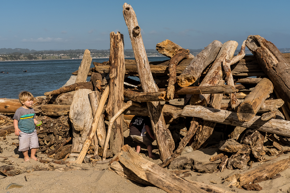 Capitola driftwood fort w- child-4304