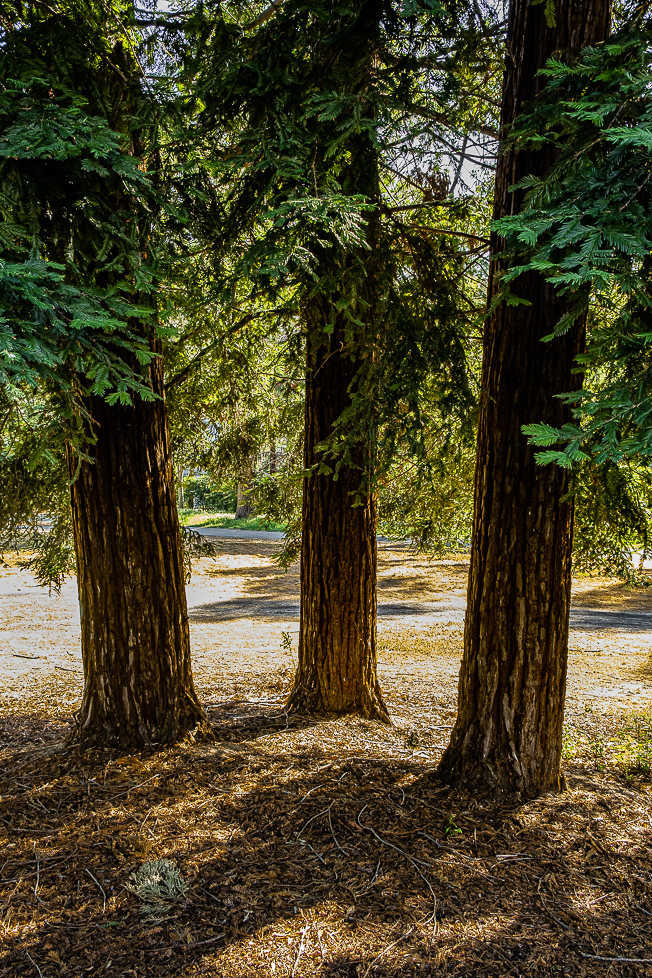 Lens-Artists Home-0330