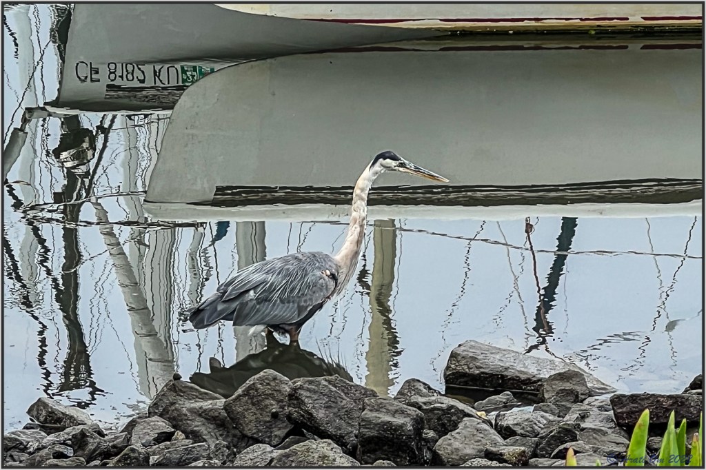 Pause… breathe…  slowly