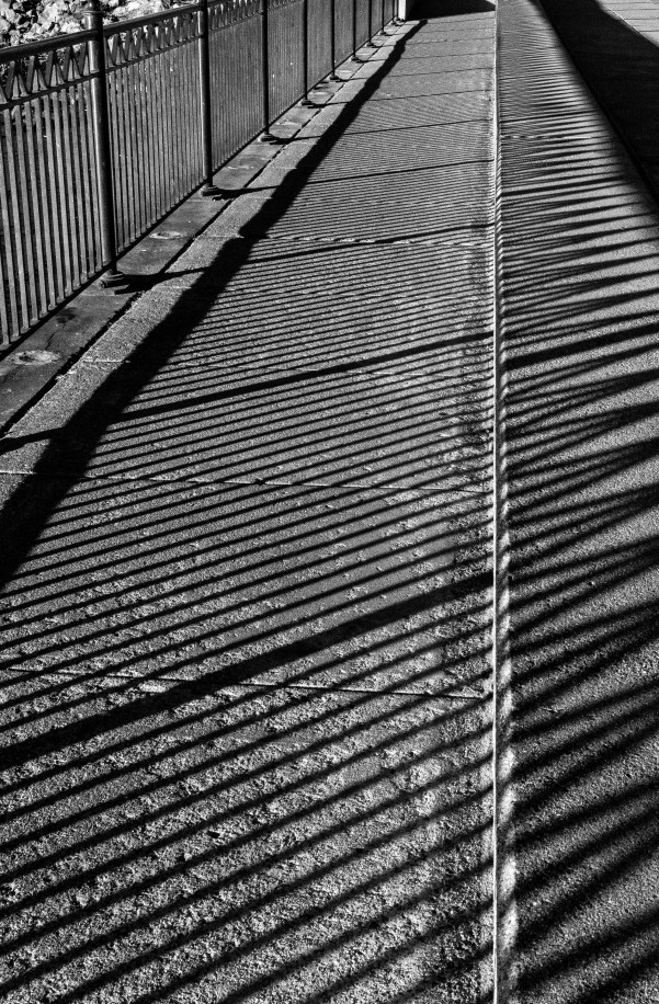 WW-Striped path Benicia-2662