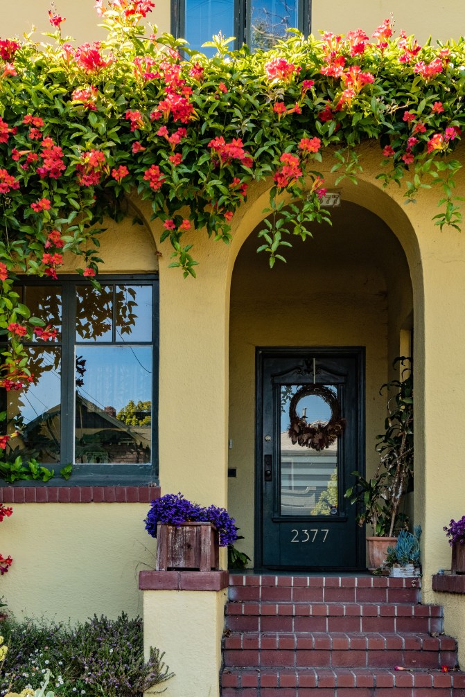 Berkeley stroll-1645