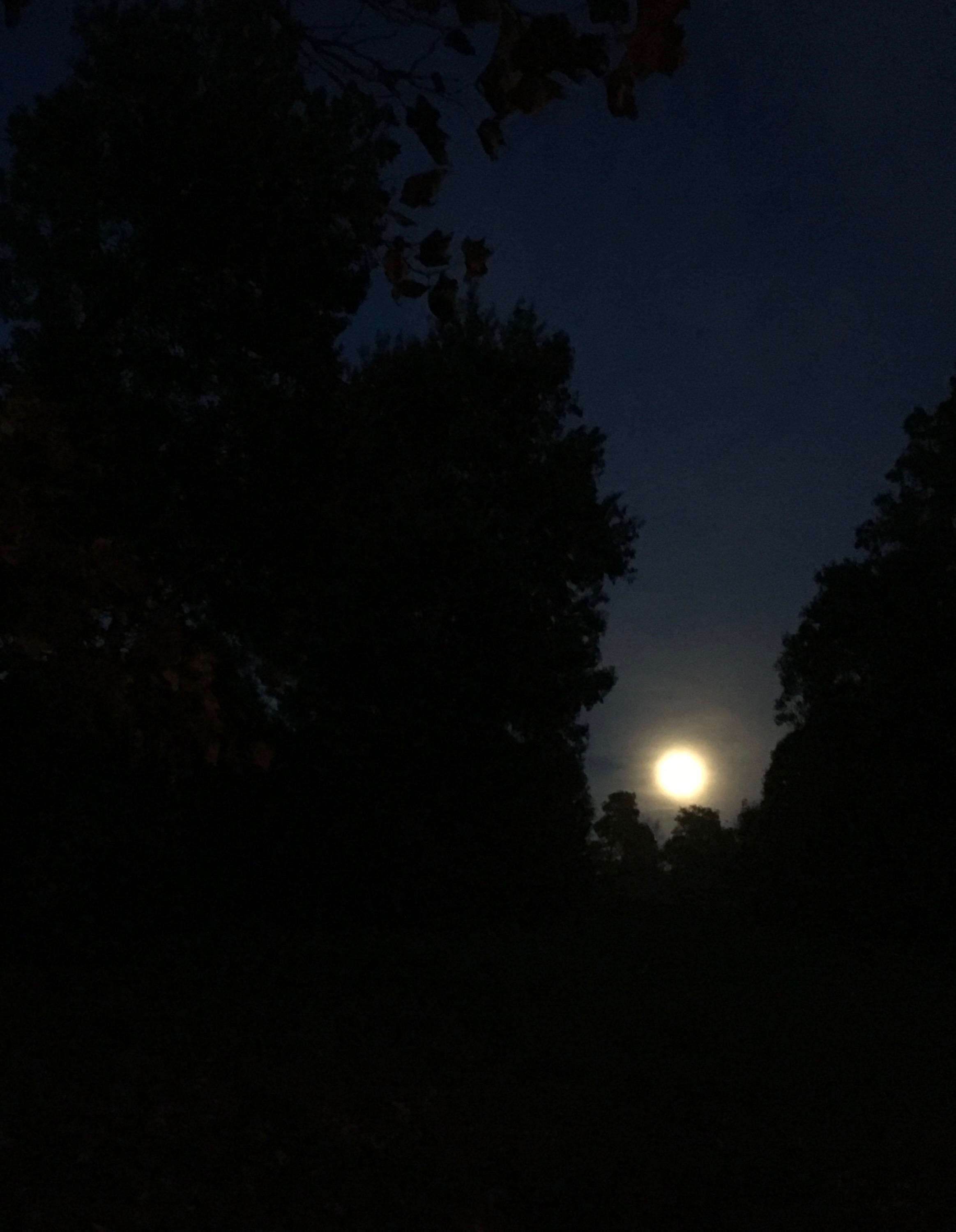 by-the-light-full-moon-2