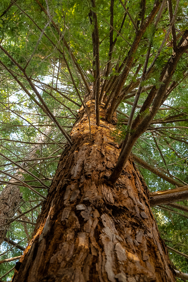 Lens-Artists Home0353