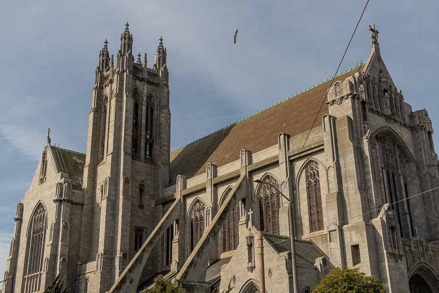 St. Dominics-7062-2-1-2.jpg