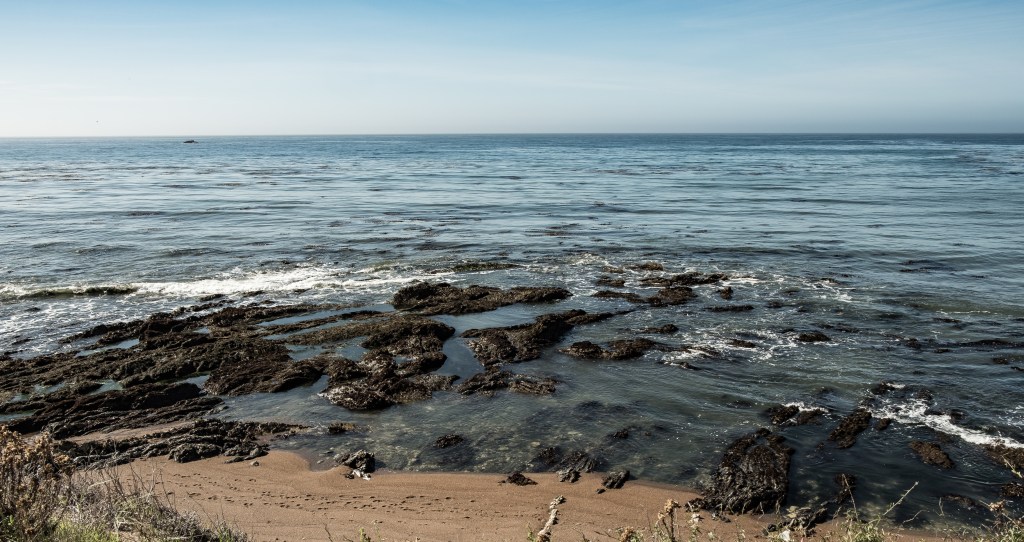 Lens-Artists Photo Challenge:&nbsp;Blue