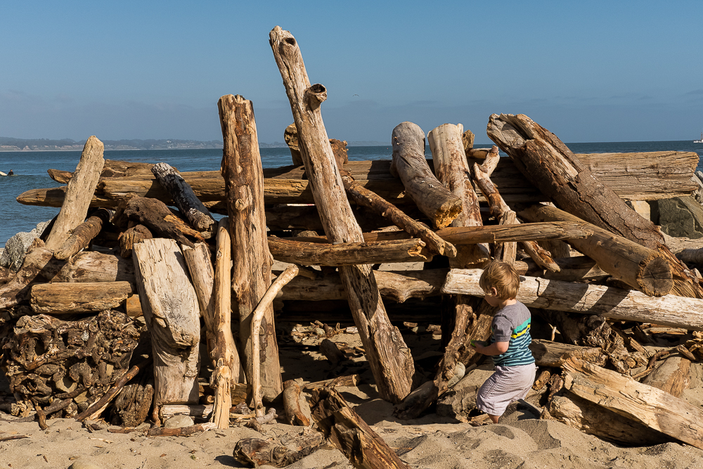 Capitola driftwood fort w- child-4302