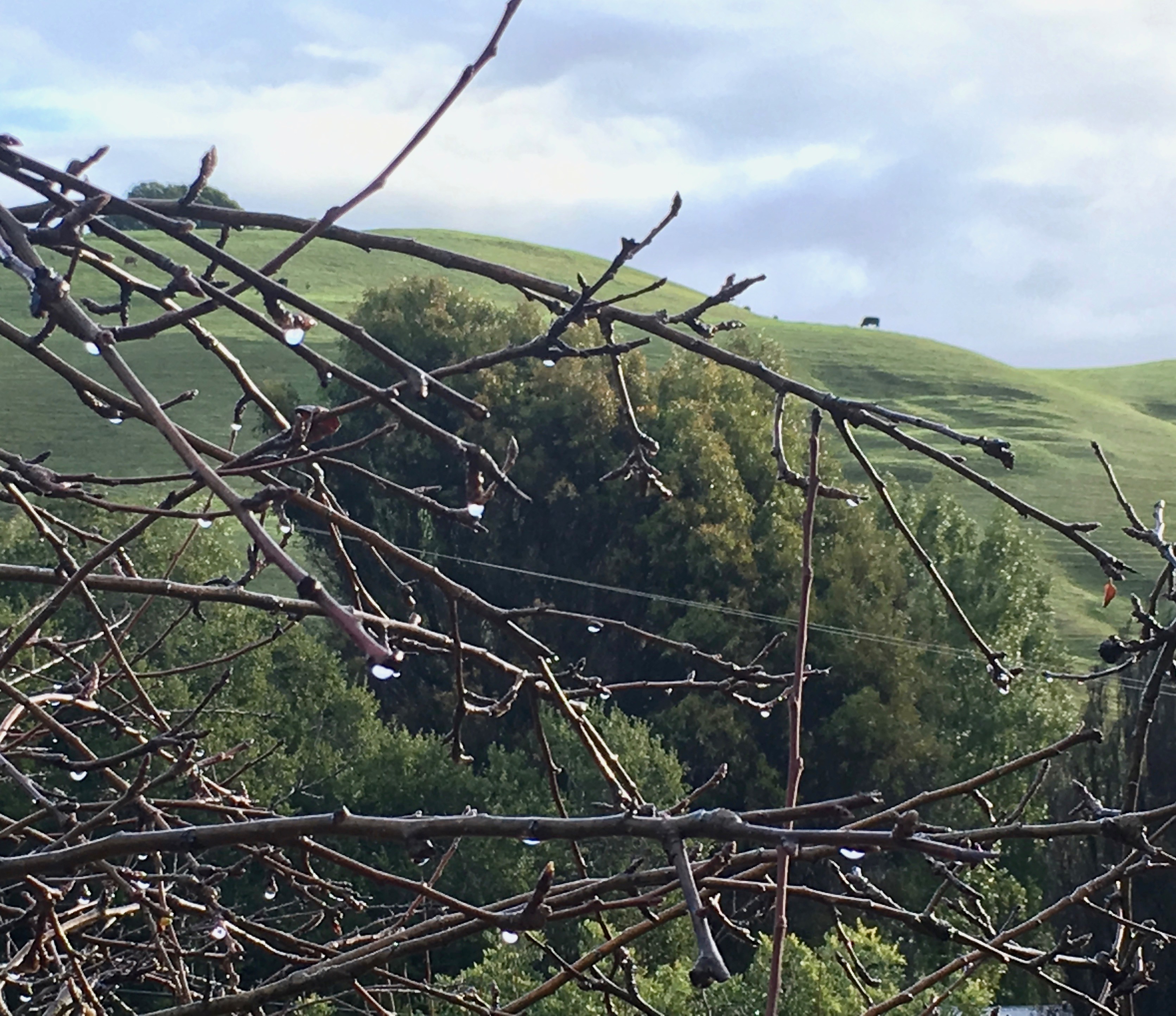 mac_hills_water-drops