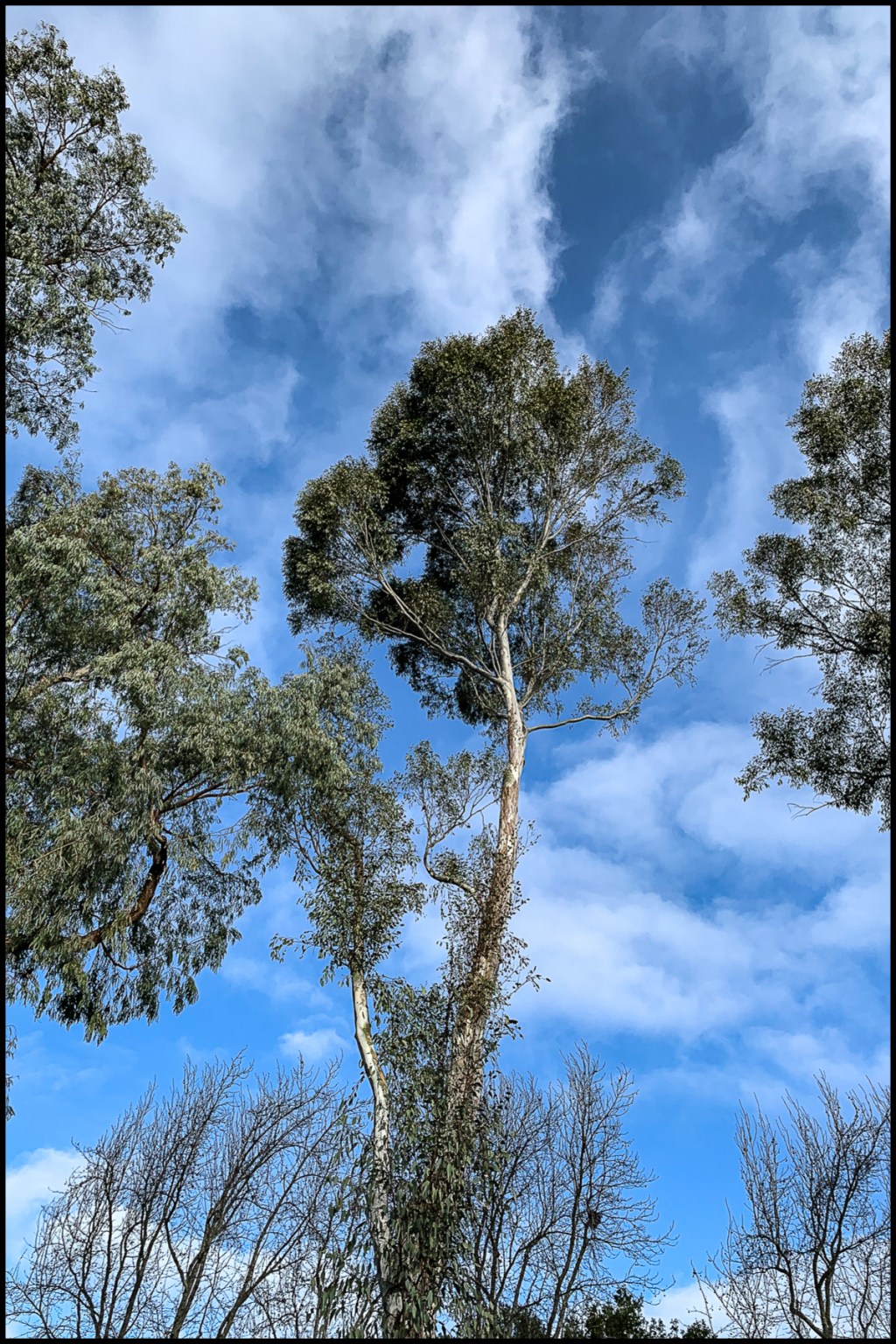 Graced by your&nbsp;presence