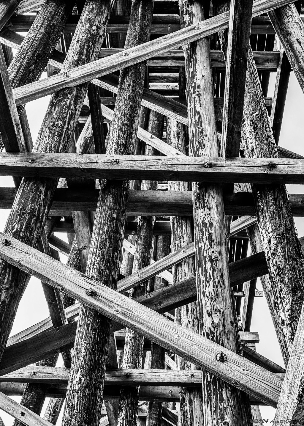 Monochrome Mondays: Trestle
