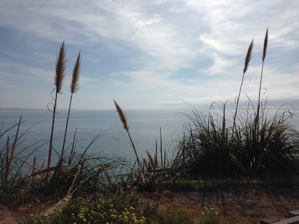 Depot Hill, Capitola