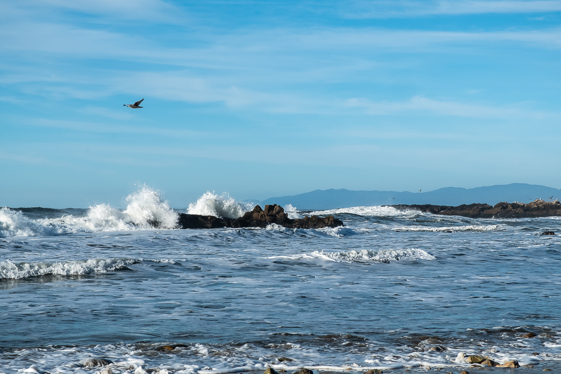 Pescadero Beach-2984