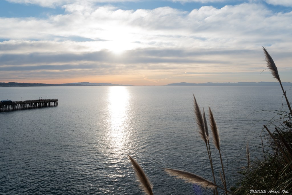 Welcoming 2025… and launching a new&nbsp;blog