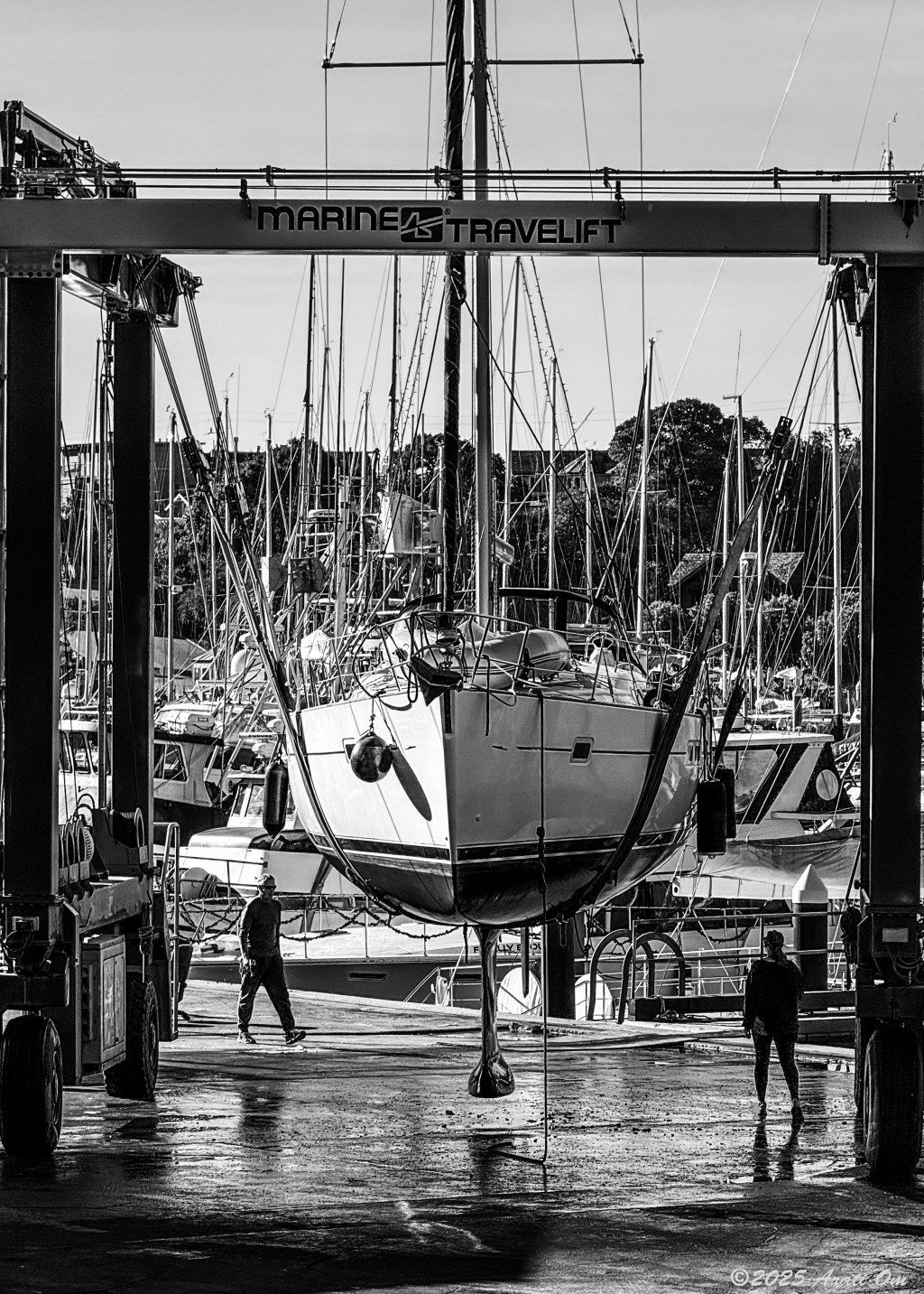 Suspended: Santa Cruz harbor&nbsp;boatyard
