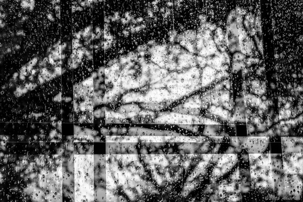 Monochrome Mondays: Atmospheric&nbsp;river