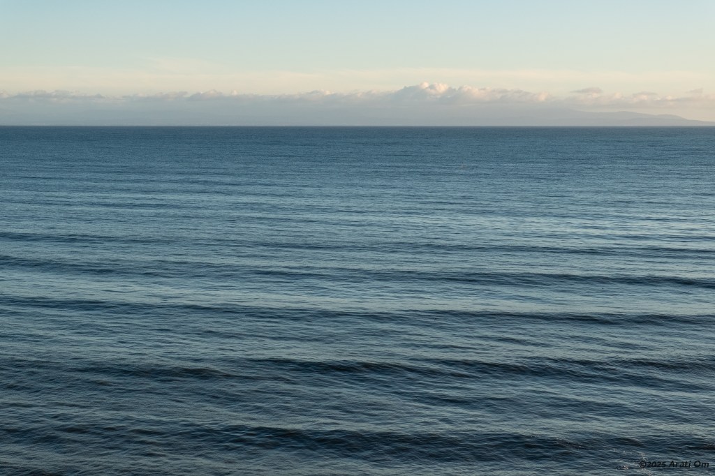 Soothing rhythm amidst&nbsp;chaos