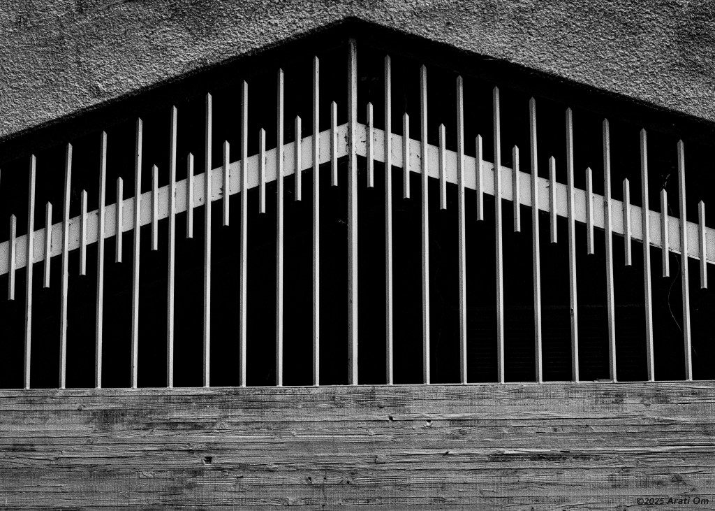 Monochrome Mondays: Facade