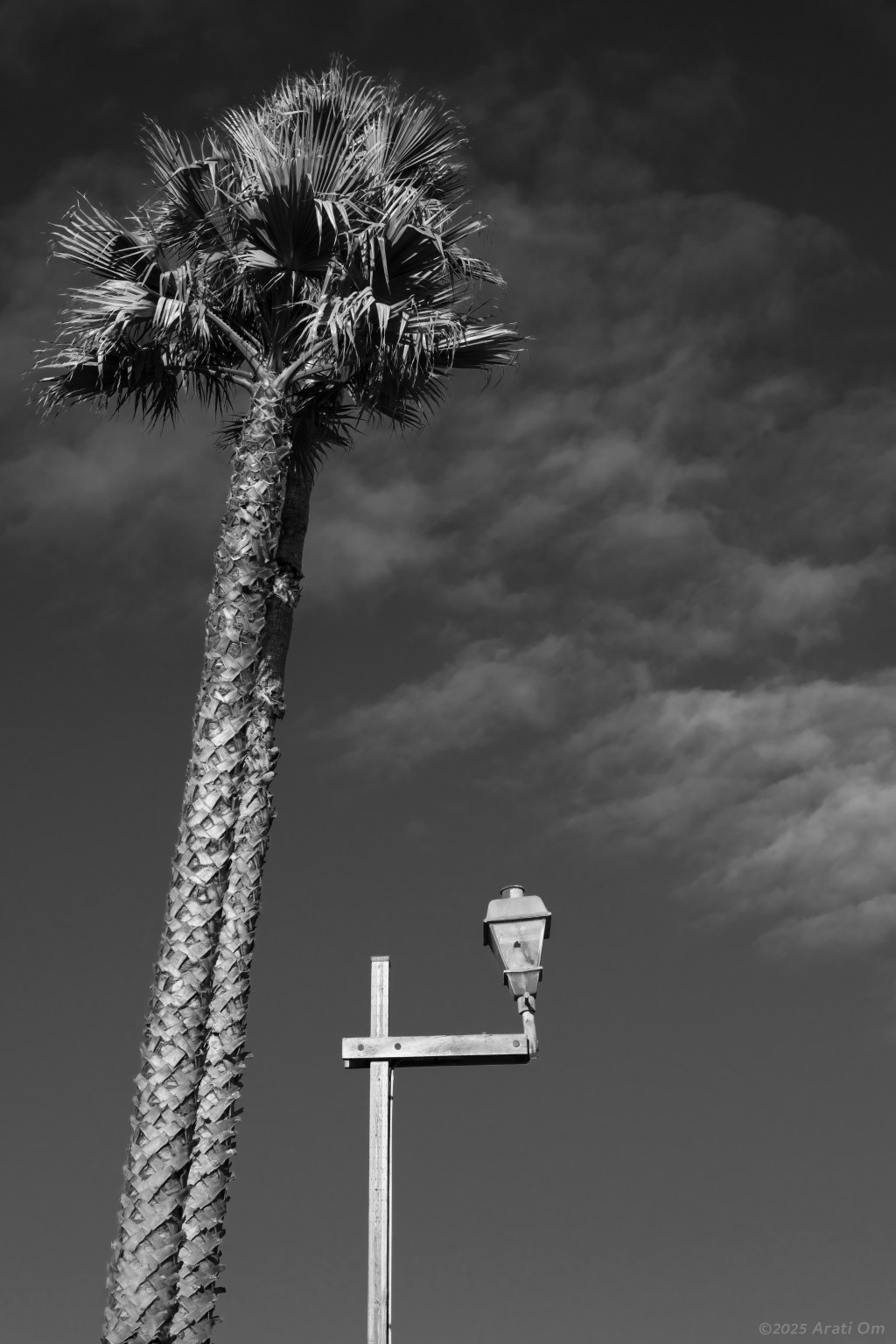 Monochrome Mondays: Reaching