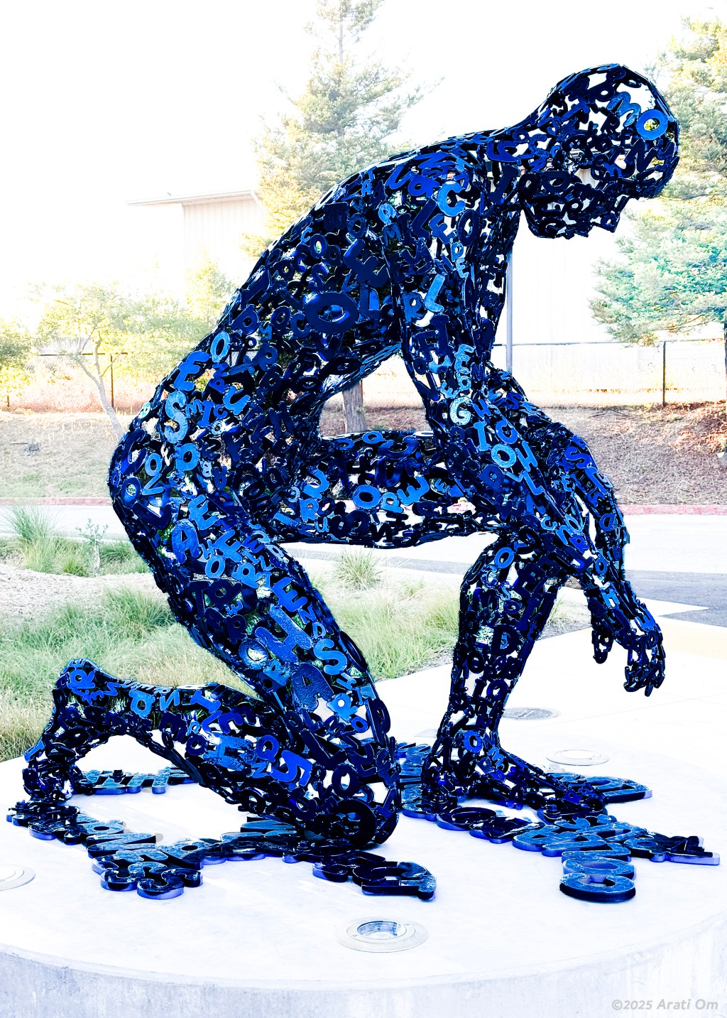 Art Installation – Simpkins Swim Center – Santa Cruz,&nbsp;California