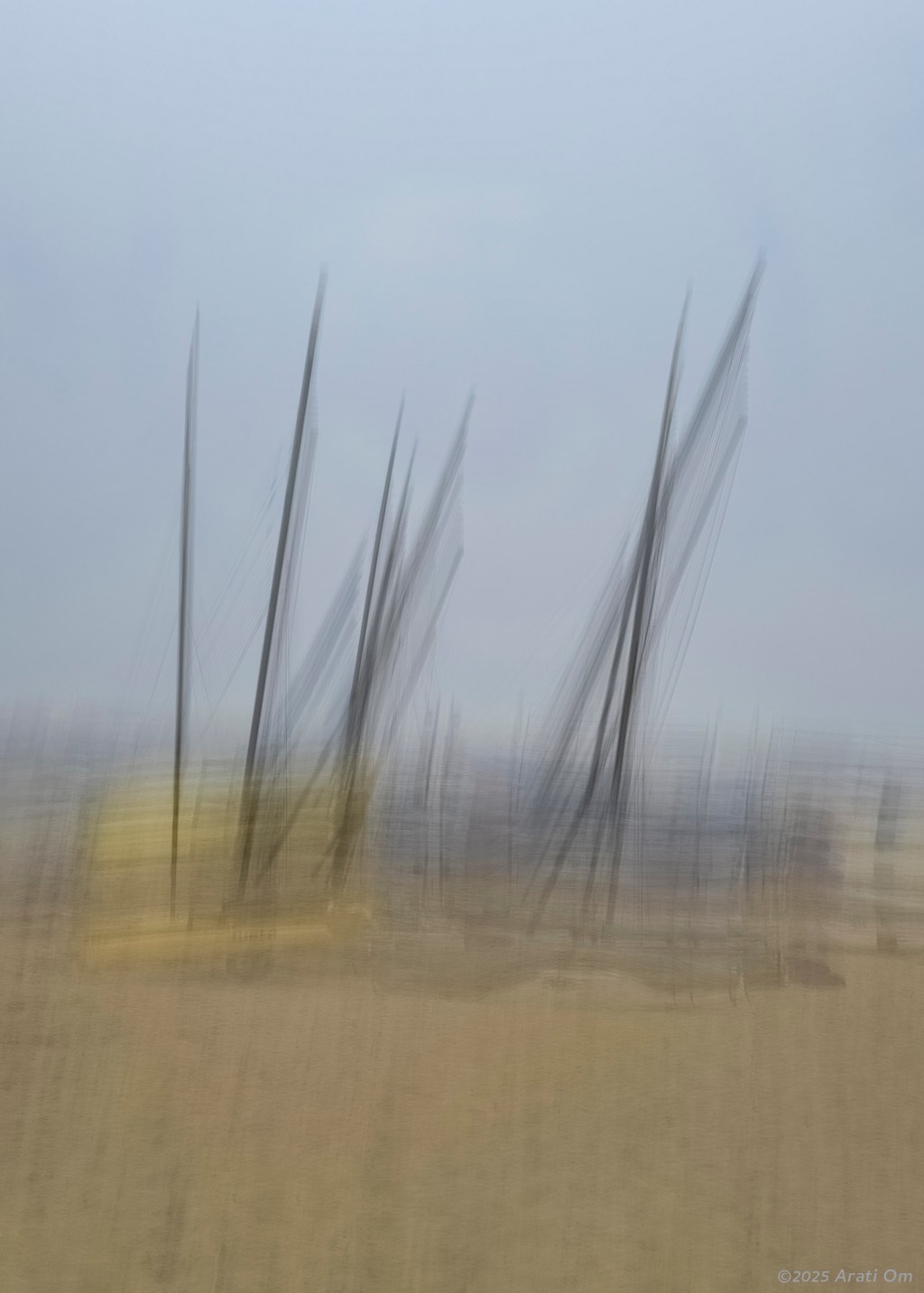 Huddling beach cats&nbsp;*icm