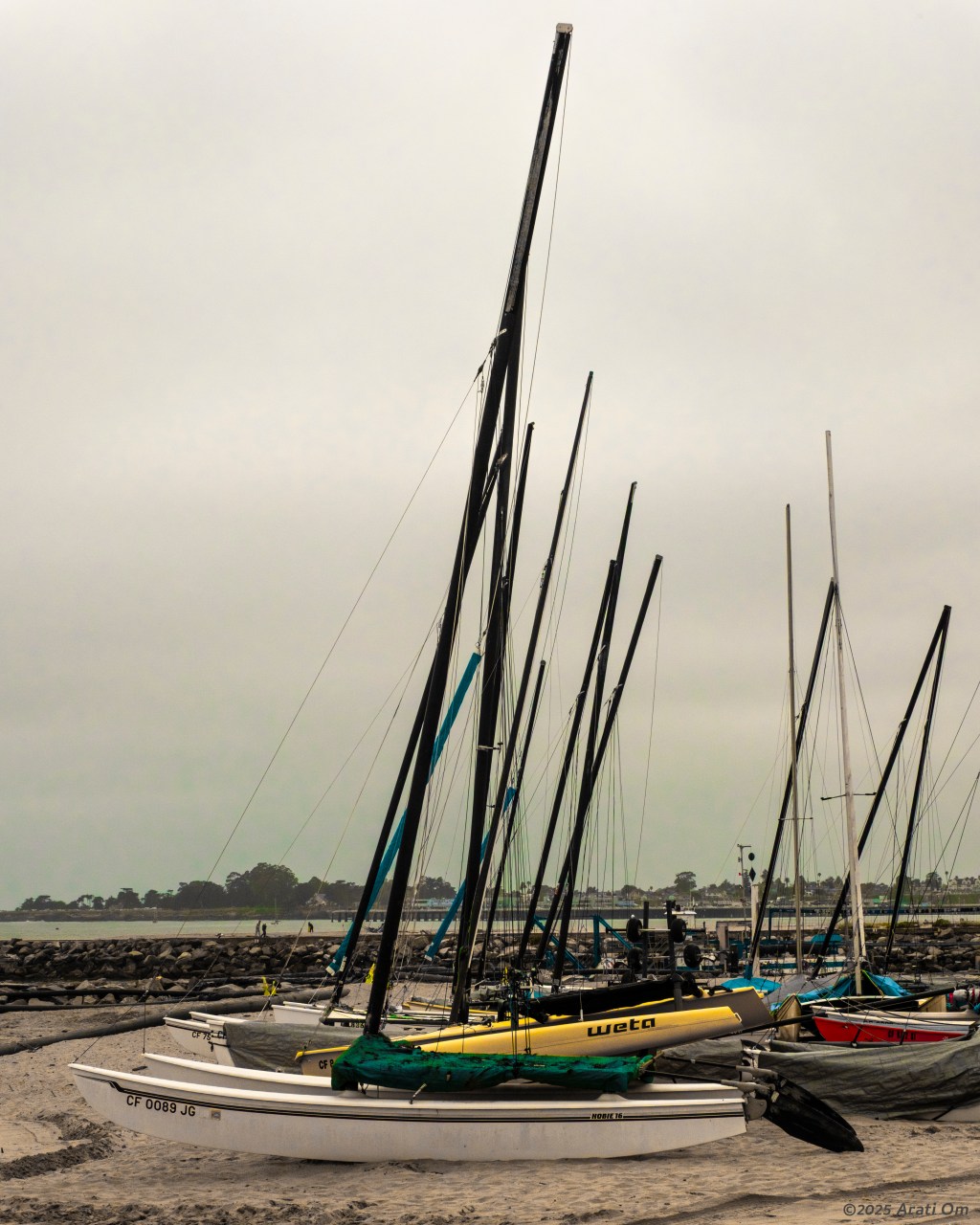 Catamaran parking lot
