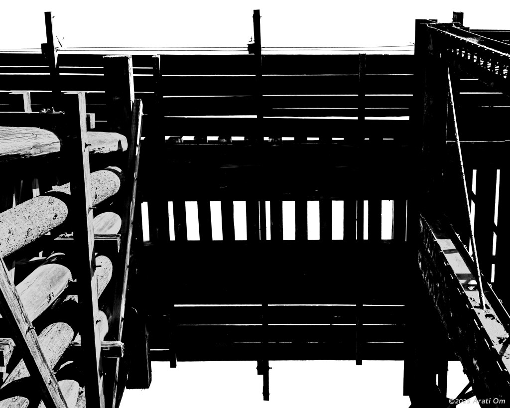 Monochrome Mondays: Heads up – Capitola&nbsp;Trestle