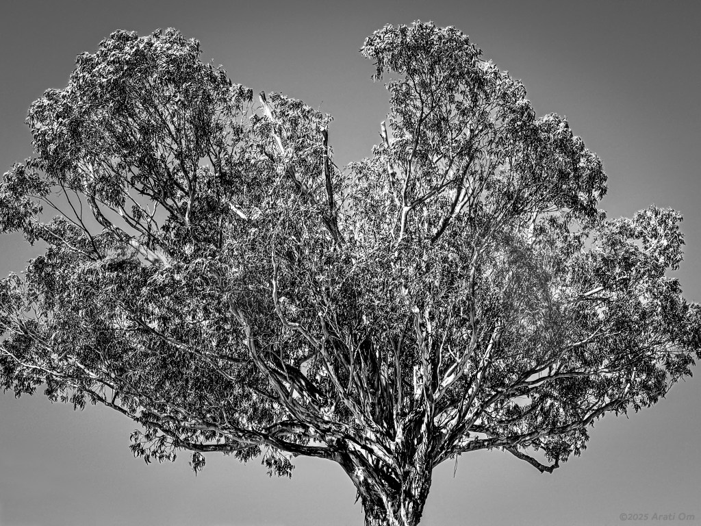 Monochrome Monday: Lost&nbsp;parts