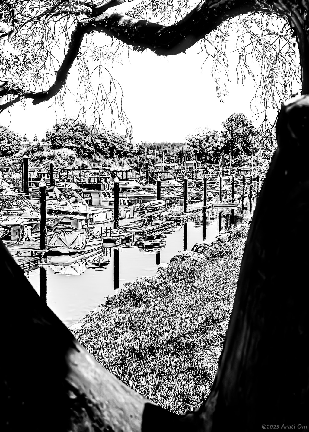 Monochrome Mondays: Santa Cruz upper&nbsp;harbor