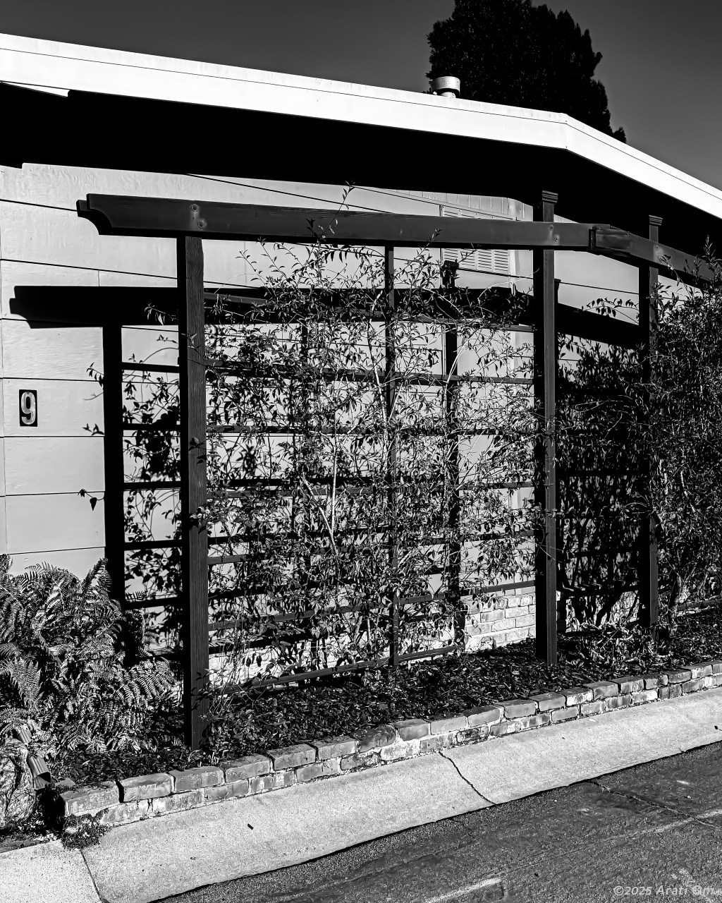 Monochrome Mondays: Trellis