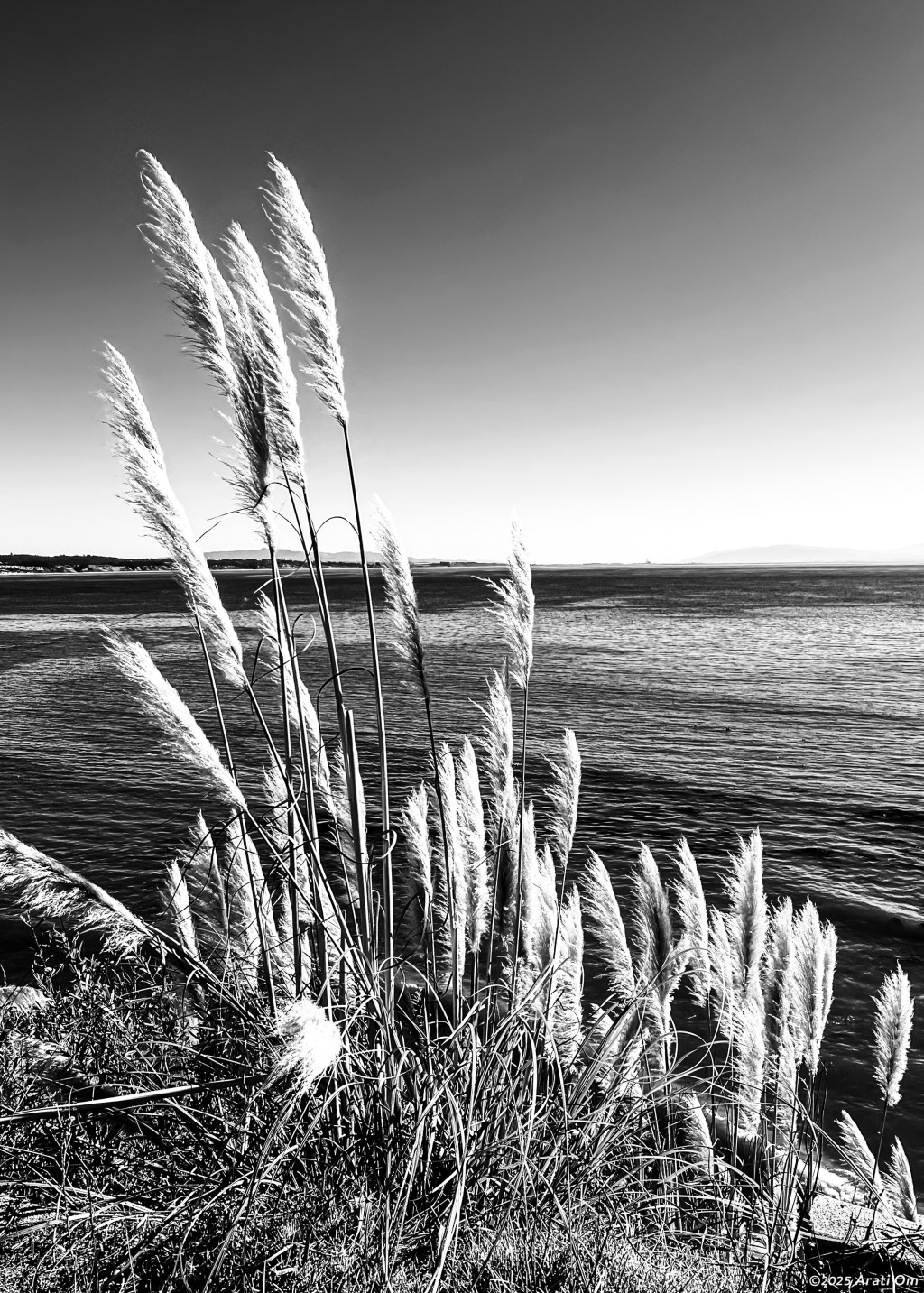 Monochrome Mondays: Ocean&nbsp;wind