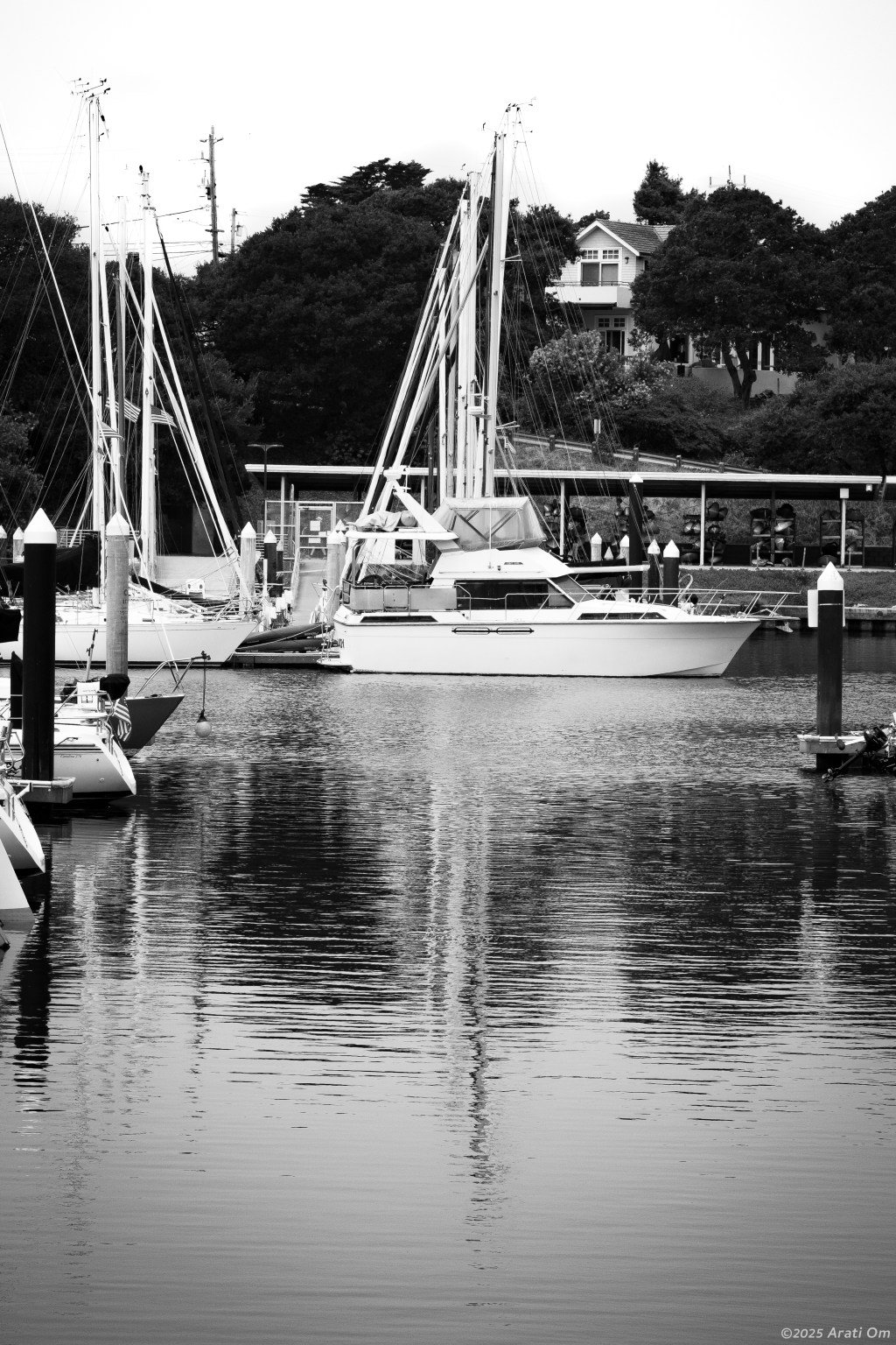 Monochrome Mondays: Quietly&nbsp;waiting