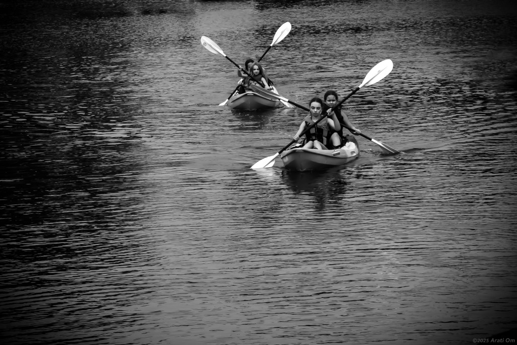 Monochrome Mondays: Wings