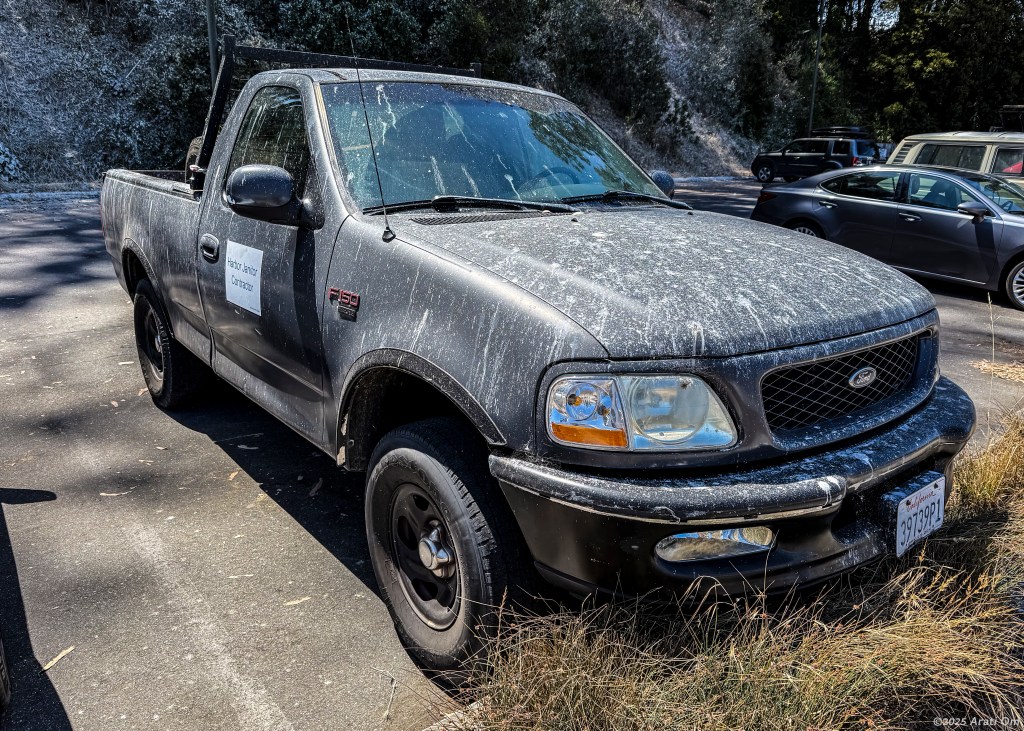 Nesting cormorants – park at your own&nbsp;risk