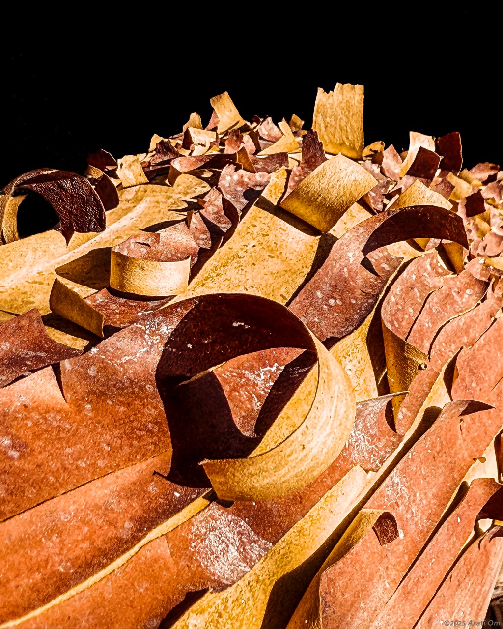 Madrone bark curling&nbsp;away