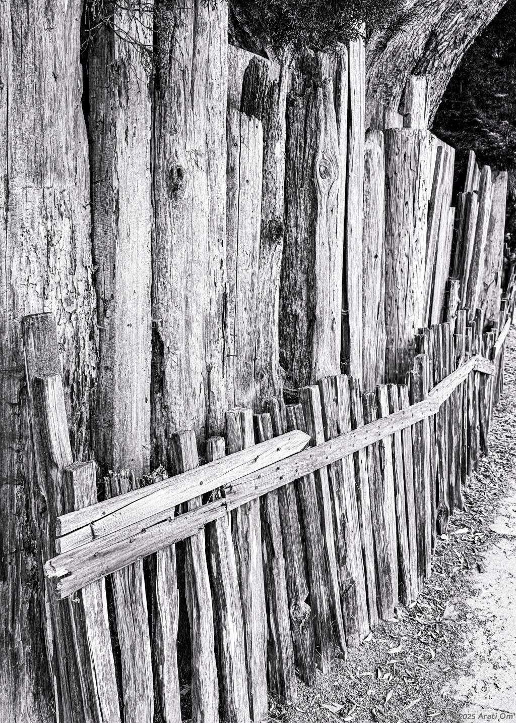 Monochrome Mondays: Au&nbsp;naturel