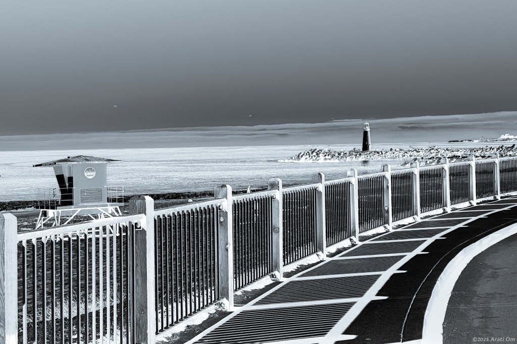 Monochrome Mondays: Protectors – Selenium&nbsp;inverted