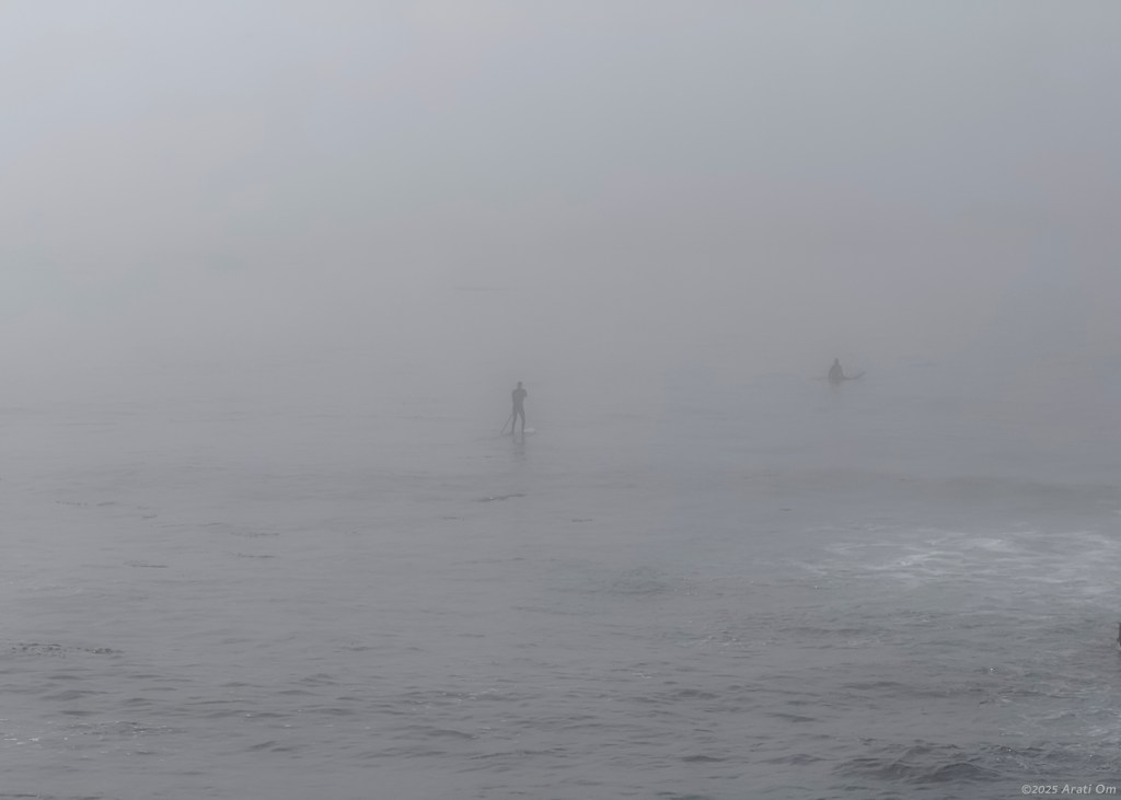 Silent Sunday: Silently&nbsp;waiting