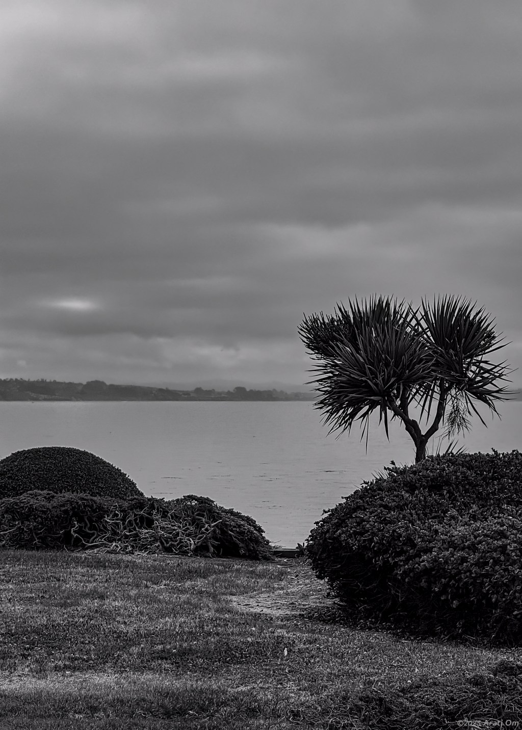 Silent Sunday: Summer&nbsp;fog