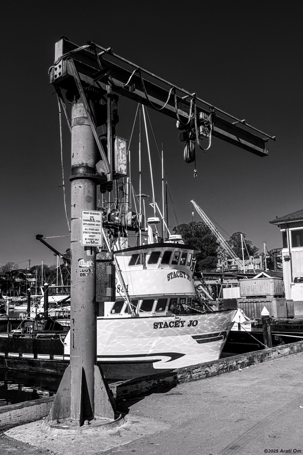 Monochrome Mondays: Santa Cruz&nbsp;harbor