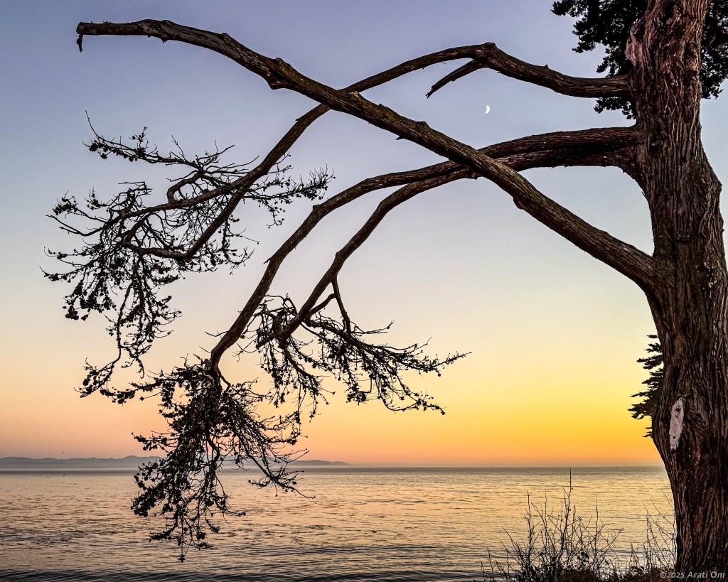 Pleasure Point at&nbsp;sunset
