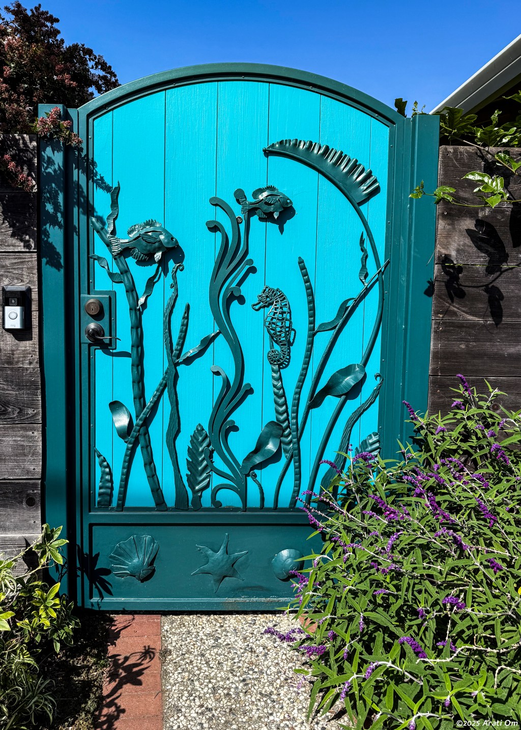 Thursday Doors: Marine&nbsp;life