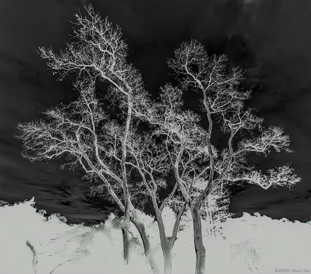 Monochrome Mondays: When clocks go backwards confusing circadian&nbsp;rhythms