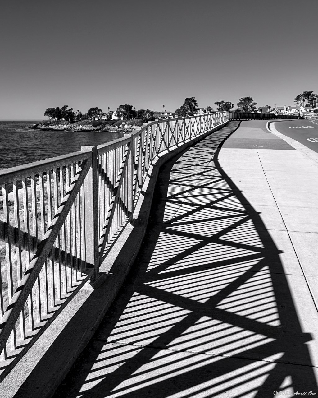Monochrome Mondays: West Cliff  Drive, Santa&nbsp;Cruz